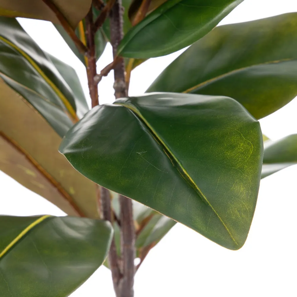 Ramuri magnolie artificiale | Decoratiuni elegante | Vaze inalte [2]