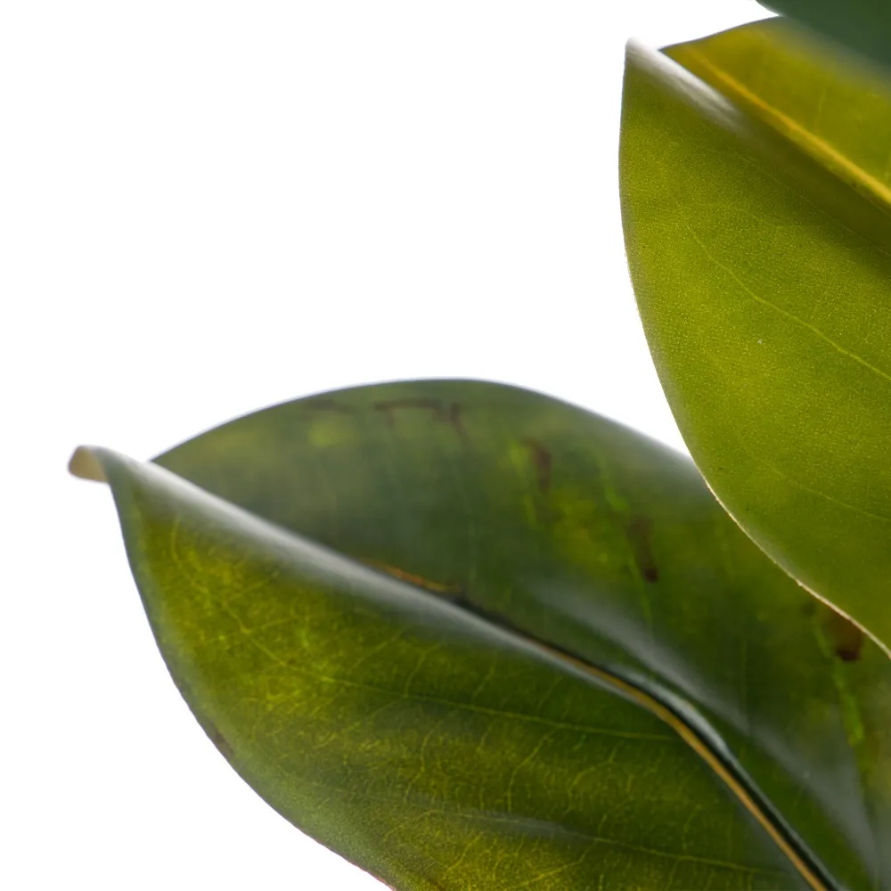 Ramuri magnolie artificiale | Decoratiuni elegante | Vaze inalte [5]