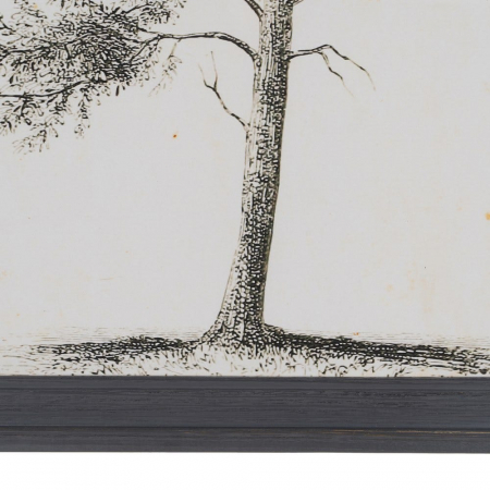 tablouri copaci monocrom lemn brad 45x60cm [4]