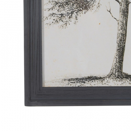 tablouri copaci monocrom lemn brad 45x60cm [7]