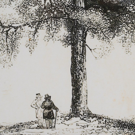 tablouri copaci monocrom lemn brad 45x60cm [6]