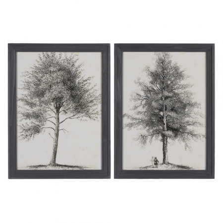 Tablouri - tablouri copaci monocrom lemn brad 45x60cm