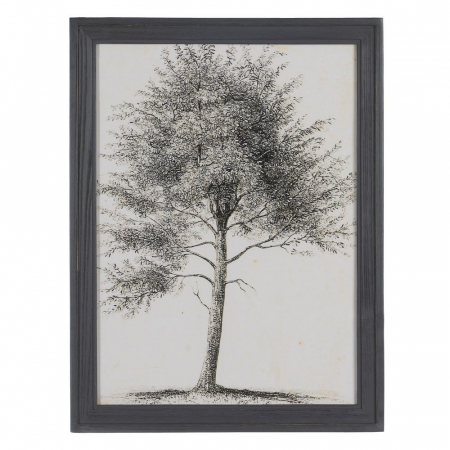 tablouri copaci monocrom lemn brad 45x60cm [1]