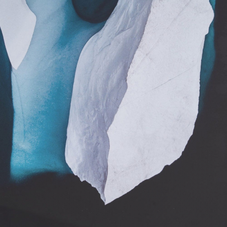 tablouri polar natur abstract rame negre sticla [5]