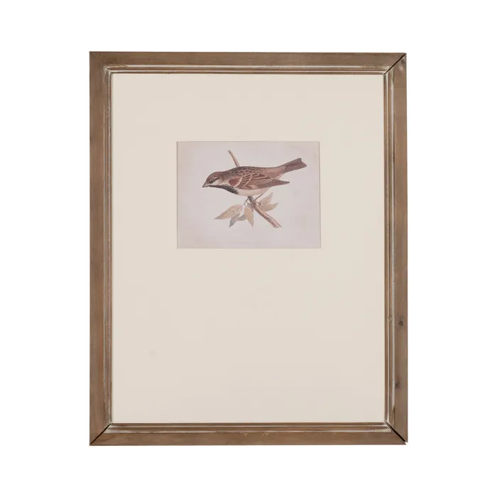 Set tablouri păsări naturale|Decorațiuni elegante și naturale [1]
