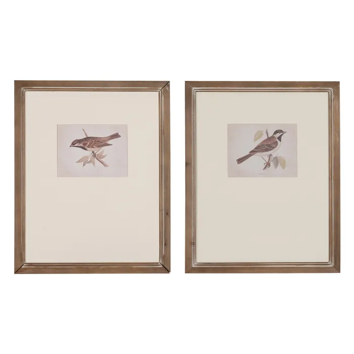 Tablouri - Set tablouri păsări naturale|Decorațiuni elegante și naturale