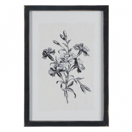 tablouri alb-negru flori gravura 24x34cm [2]