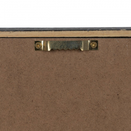 tablouri alb-negru flori gravura 24x34cm [7]