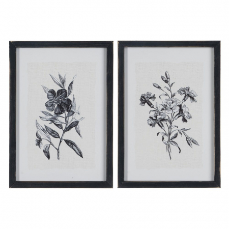Tablouri - tablouri alb-negru flori gravura 24x34cm