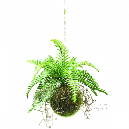 Obiecte decorative - Ferigi Artificiale Design|Plante Decorative Premium
