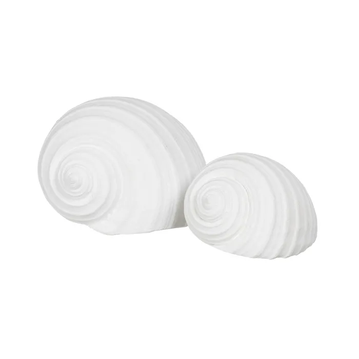Set scoici rasina alba detalii fine|Decoratiuni marine elegante [1]