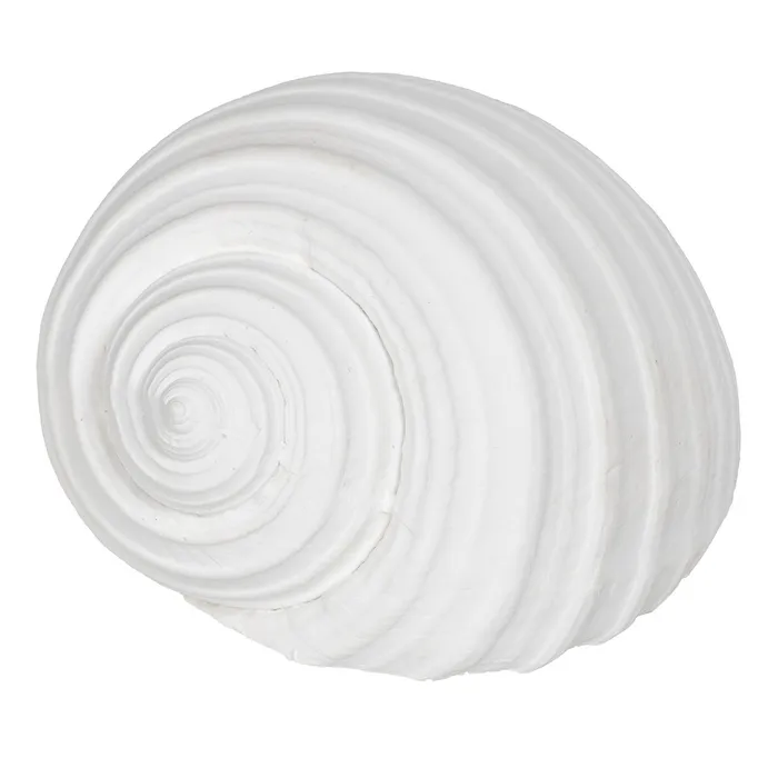 Tema Marina - Set scoici rasina alba detalii fine|Decoratiuni marine elegante