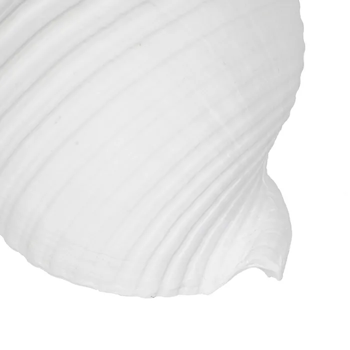 Set scoici rasina alba detalii fine|Decoratiuni marine elegante [4]