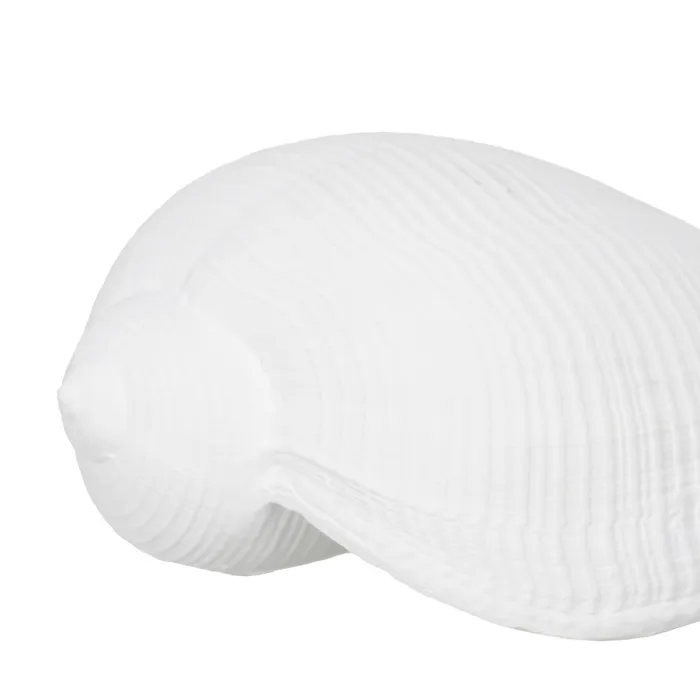 Set scoici rasina alba decor marin|Decoratiuni marine autentice [3]