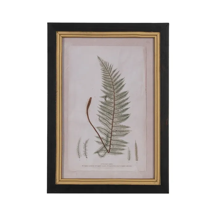 Set tablouri botanice verzi|Decorațiuni naturale elegante [4]