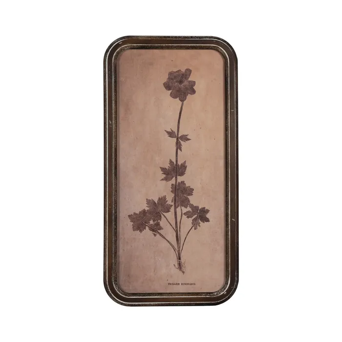 Set tablouri botanice vintage|Decorațiuni elegante și rafinate [4]