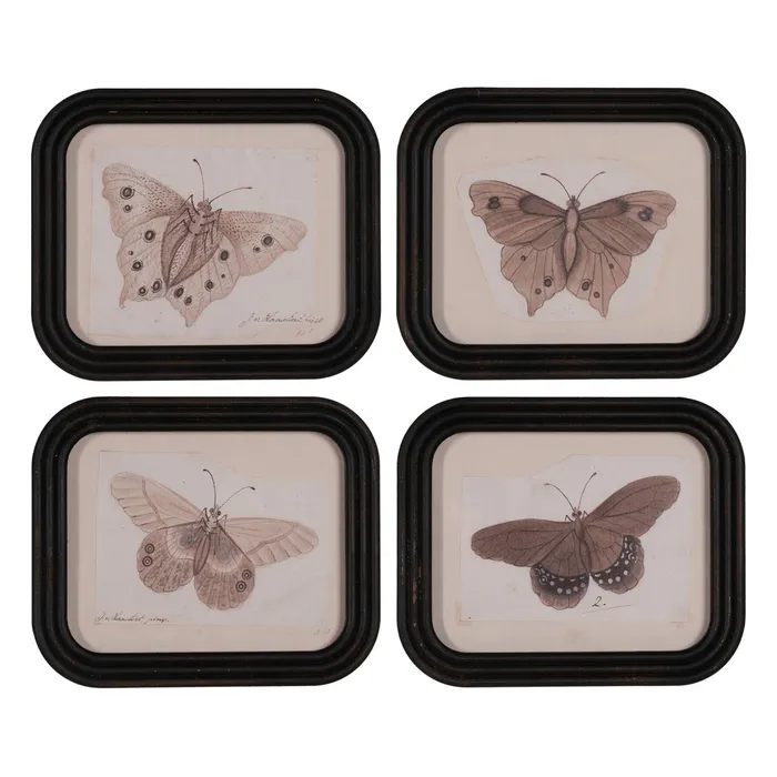 Tablouri - Set tablouri MDF fluturi|Decorațiuni elegante moderne