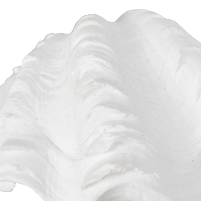 Set scoici rasina alba detalii fine|Decoratiuni marine elegante [4]