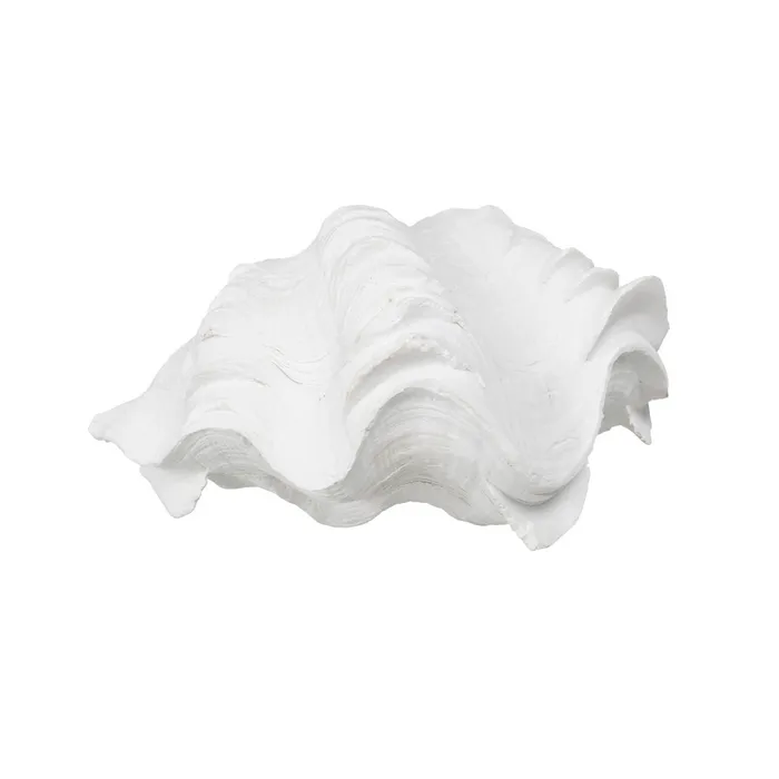 Set scoici rasina alba detalii fine|Decoratiuni marine elegante [3]