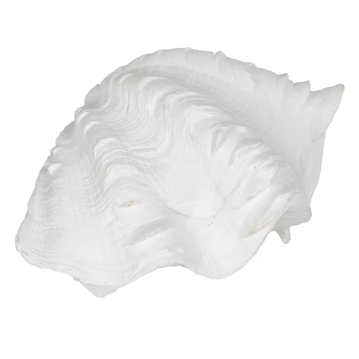 Tema Marina - Set scoici rasina alba detalii fine|Decoratiuni marine elegante