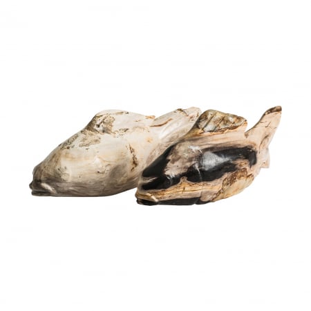 Unicate - Statueta peste scandinava lemn pietrificat|Statuete decorative