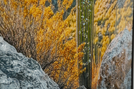 Tablou peisaj deșert cactus Saguaro 60x90 cm – imprimat pe pânză cu ramă neagră [4]