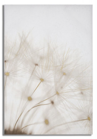 Tablouri - Tablou cu păpădie detaliată 80x120 cm – estetică naturală, structură solidă din lemn, perfect pentru spații wellness sau interioare cu design soft