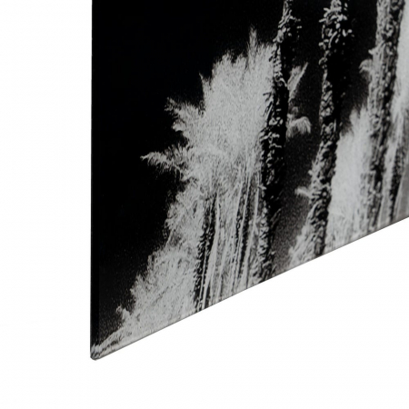Tablou palmieri monocrom – sticlă securizată, design panoramic 120x70 cm [4]