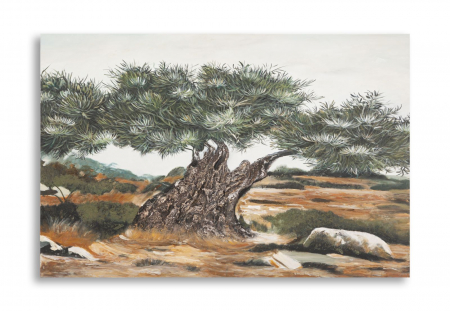 Decoratiuni perete - Tablou măslin rustic mediteranean 120x80 cm – artă decorativă cu mesaj de stabilitate și rădăcini