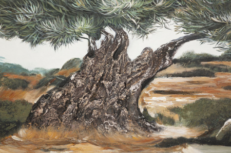 Tablou măslin rustic mediteranean 120x80 cm – artă decorativă cu mesaj de stabilitate și rădăcini [1]