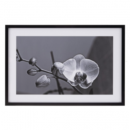 Decoratiuni perete - Tablou floral alb-negru cu orhidee – format orizontal 65x95 cm
