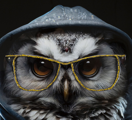 CreativDeco Bufnita in Gluga - Mister si Cultura Urbana [2]