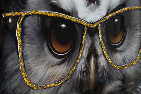 CreativDeco Bufnita in Gluga - Mister si Cultura Urbana [3]