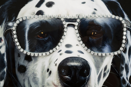 CreativDeco Tablou Dalmatian Elegant - Rafinament si Stil [3]