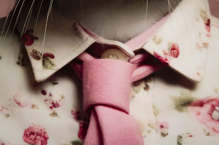 CreativDeco Iepure in Camasa Florala - Decor Jucaus si Sofisticat [4]