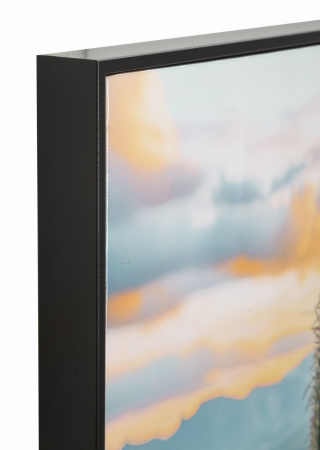 Tablou peisaj montan cu cactus 60x90 cm – imagine naturală pe pânză cu ramă neagră [2]