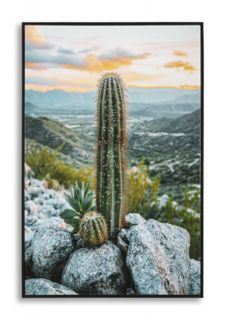 Tablouri - Tablou peisaj montan cu cactus 60x90 cm – imagine naturală pe pânză cu ramă neagră