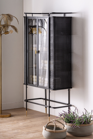 Vitrina metal industrial|Vitrine moderne premium [3]