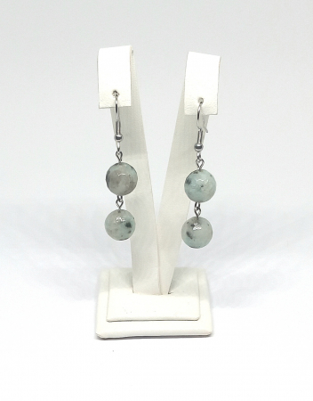 Jasp - Cercei Jasp Dalmatian