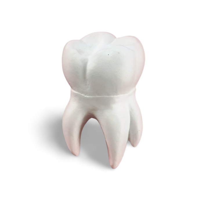 Decoratiune din ipsos Molar [1]
