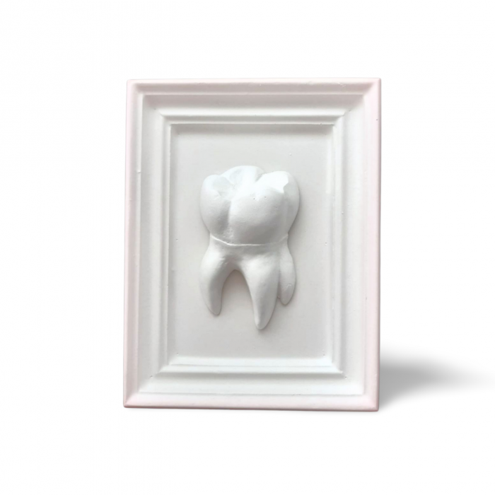 Decoratiune din ipsos Tablou Molar [1]