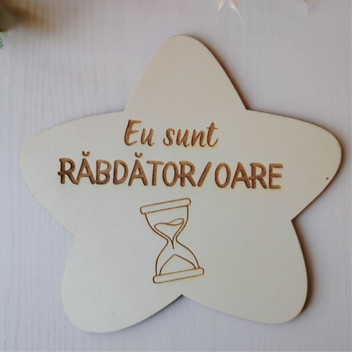 Set 10 piese din lemn Statia Afirmatiilor, pentru gradinita, 18x18cm [5]