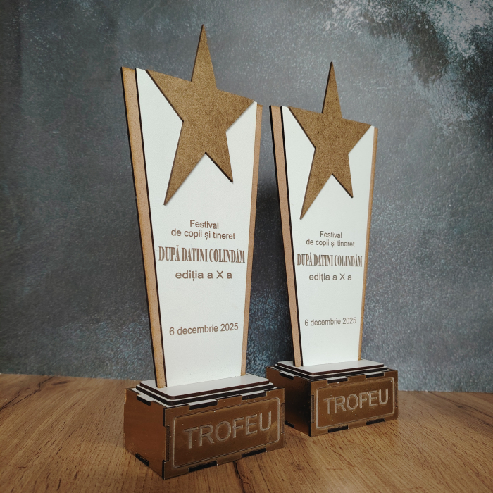 Trofeu din MDF, personalizabil, 30x12cm [5]