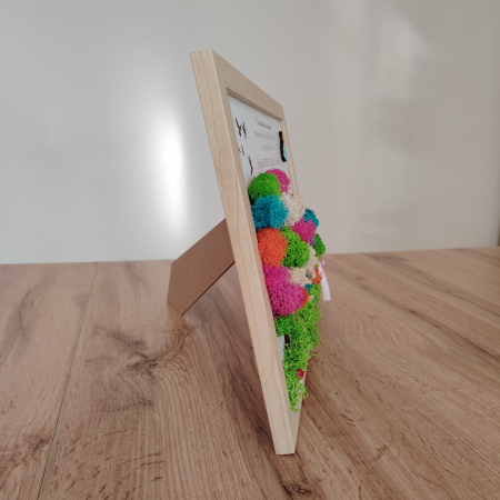 Tablou cu licheni Pentru o educatoare de poveste, 23x32cm [2]