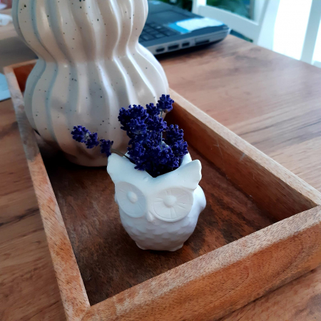 Decoratiune din ipsos Bufnita [3]