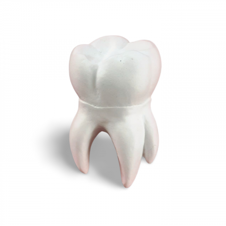 Corpul omenesc - Decoratiune din ipsos Molar