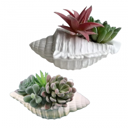 Decoratiune din ipsos Scoica Suport [3]