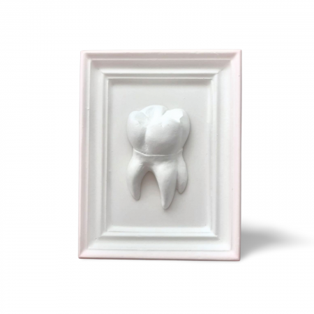 Tablouri - Decoratiune din ipsos Tablou Molar