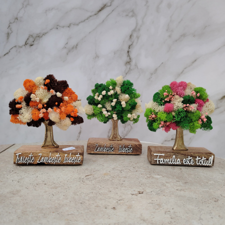 DECORATIUNI PENTRU BIROU - Decoratiune Pom cu licheni, personalizabil, 12x15cm