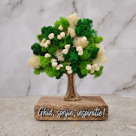 Decoratiune Pom cu licheni, personalizabil, 12x15cm [1]